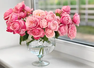 Как сохранить срезанные розы в вазе свежими надолго? | Статьи