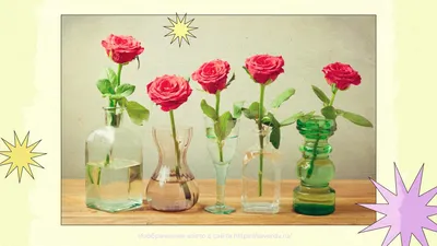 45 средних стабилизированных роз в вазе купить с доставкой в СПб