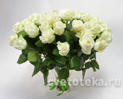 Натюрморт маслом \"Букет садовых роз в золотой вазе\" 50x60 AV181124 купить в  Москве