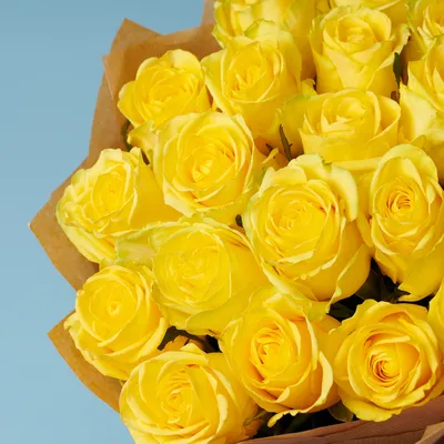 43 желтые розы (60 см) – купить оптом и в розницу в Москве и Московской  области – Городская База Цветов