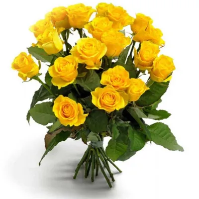 25 желтых роз | купить недорого | доставка по Москве и области