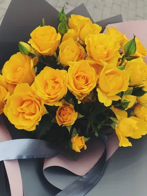 Желтые розы (Эквадор, Голландия) Yellow magic, Hammer, High yelloe flame