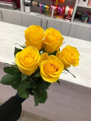 19 желтых роз в коробке – купить недорого с доставкой