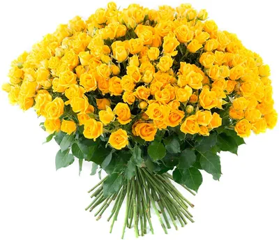 Жёлтые Розы, артикул: 608276, с доставкой в город Благовещенск
