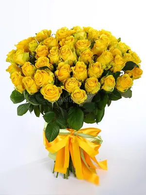 Желтые розы Россия 60 см шт. купить с доставкой по Краснодару