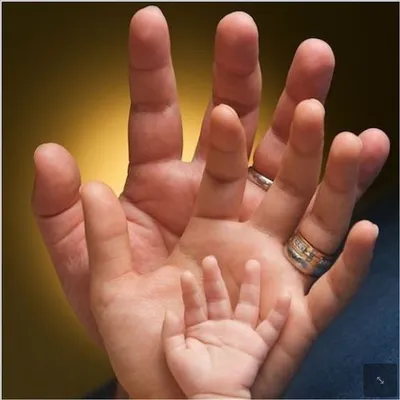Руки мамы, папы и маленького сына | Премиум Фото