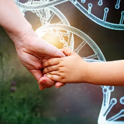 Руки родителей папы и мамы держат в руках ноги новорожденного ребенка  Стоковое Изображение - изображение насчитывающей семья, нога: 202865793