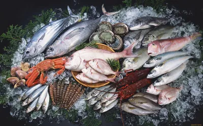 Рыболовная Сеть Полная Мелких Рыб — стоковые фотографии и другие картинки  Лов рыбы жаберной сетью - Лов рыбы жаберной сетью, Горизонтальный, Кастинг  - iStock