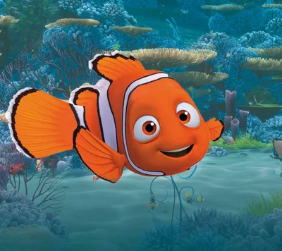 В поисках Немо / Finding Nemo - «Красочный мультик, который помог нам  наконец-то отстать от рыбки и перестать ее гладить, и пытаться выловить,  чтобы сжать в объятиях.» | отзывы