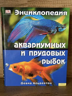 Реалистичные пластиковые подвижные плавающие рыбки, украшения для  аквариума, 1 шт. (случайный цвет и узор) | AliExpress