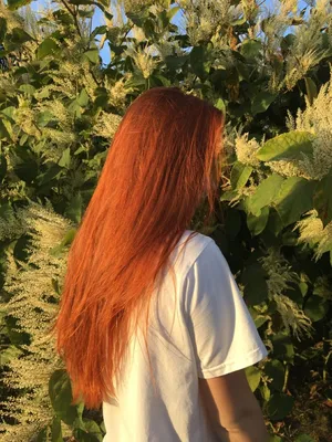 Рыжие волосы | Идеи причесок, Прямые рыжие волосы, Натуральный рыжий цвет  волос