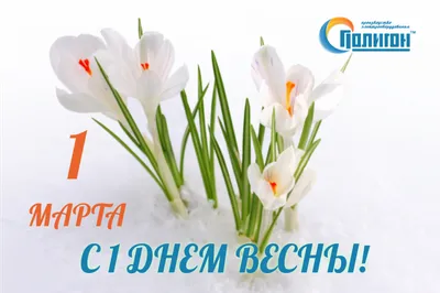 1 марта. С первым Днем весны и Днем кошек! - Ошколе.РУ