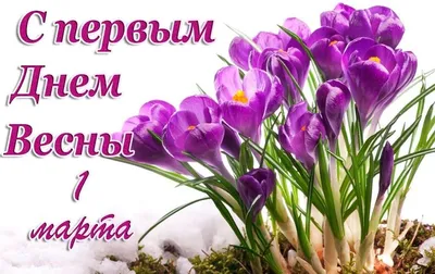 С первым днем весны: красивые картинки и открытки к 1 марта - МК Сахалин