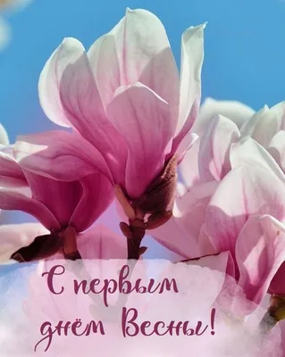 Красивые картинки С первым днем весны! (50 открыток) • Прикольные картинки  и позитив | Весна, Красные тюльпаны, Луговые цветы
