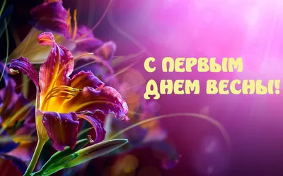 С первым днем весны! Лучшие поздравления, картинки - Телеграф