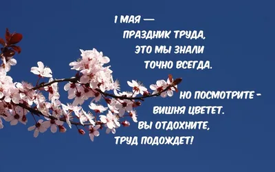 Праздник Весны и Труда 1 Мая: новые красивые открытки и поздравления в  стихах с Первомаем-2022 - sib.fm