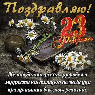 Бесплатно сохранить открытку на 23 февраля племяннику - С любовью,  Mine-Chips.ru