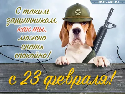 Весёлый текст для пограничника в 23 февраля - С любовью, Mine-Chips.ru
