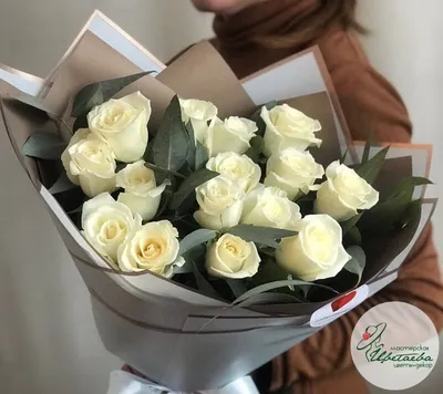 Белые розы обои для рабочего стола, картинки Белые розы, фотографии Белые  розы, фото Белые розы скачать бесплатно | FreeOboi.Ru