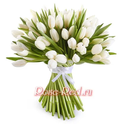 Купить Охапка из белых тюльпанов в оформлении model №846 в Новосибирске