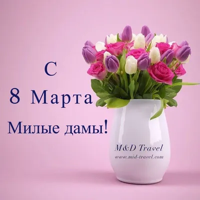 Congress Avia - Милые дамы! Поздравляем Вас с 8 Марта!