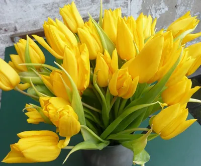 Цветы в коробке \"Искра радости\" в Юрьев-Польском - Купить с доставкой от  2890 руб. | Интернет-магазин «Люблю цветы»