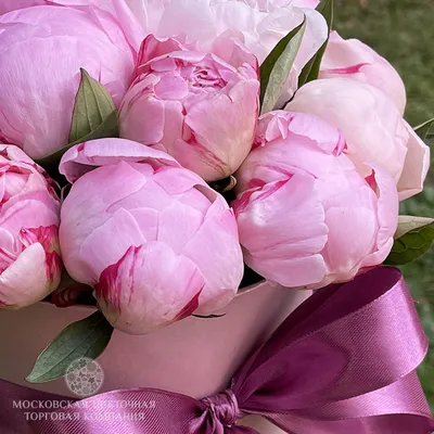 Топпер с цветами 8 марта розовые пионы - купить по выгодной цене | Shop  Konditer