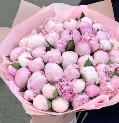 Розовые пионы в коробке от 9 шт. за 11 990 руб. | Бесплатная доставка  цветов по Москве