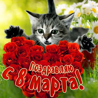 Романтические открытки с котами к 8 марта - скачать бесплатно