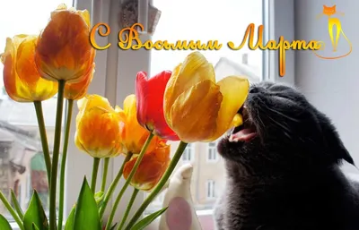 Открытки с кошками к 8 марта (нейросеть Midjourney) | Пикабу
