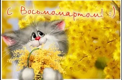 Коты поздравляют с 8 марта! - ЯПлакалъ