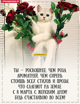 Картинка с цветами и котятами на День рождения Наташеньке
