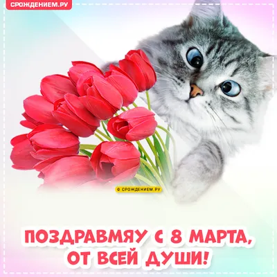 Милые картины с котятами: Новости магазинов в журнале Ярмарки Мастеров