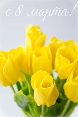 Картинки с 8 марта желтые тюльпаны фото