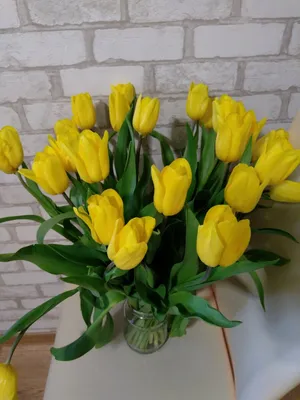 Букет из 51 тюльпана \"Желтые тюльпаны\", артикул: 200232 в интернет магазине  EnjoyFlowers.ru ❀ с доставкой по Москве