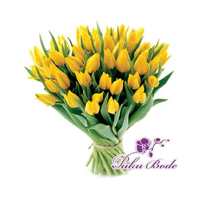 Купить букет из 75 желтых тюльпанов по доступной цене с доставкой в Москве  и области в интернет-магазине Город Букетов