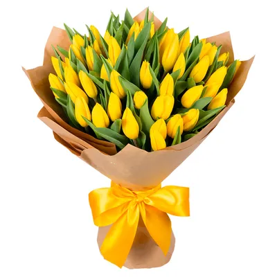 Желтые тюльпаны 49 — Puķu Bode