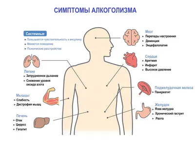 Мы либо стали алкоголиками, либо вступили в брак с алкоголиком • Пчела