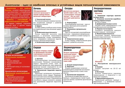 Никогда бы не стал начальником, если бы не был алкоголиком». Хронический  алкоголик рассказывает, как сделал карьеру - CityDog.io