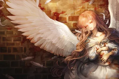 Картинки Аниме молодые женщины Ангелы