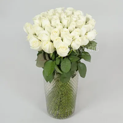 Белые цветы с земли фото на Iphone Фон Обои Изображение для бесплатной  загрузки - Pngtree