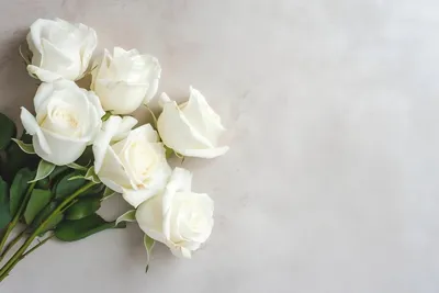 Алиссум - «Белые цветы и медовый аромат-это алиссум» | отзывы