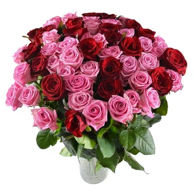 Большие розы - 62 фото | Розы, Букет цветов, Цветы