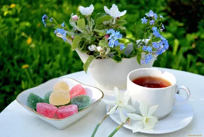 Чашка чая и цветы (73 фото) »