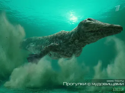 Центр АХХА приглашает познакомиться с морскими чудовищами - Vestnik Tartu