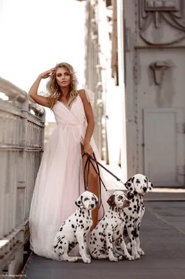 dalmatian, фотосессия с далматинцами, фотосессия с далматином, Далматин,  платье из белого шелка с собаками, далматинец - The-wedding.ru