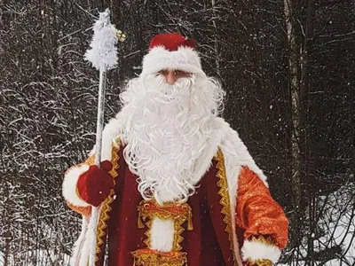Дед Мороз и Снегурочка на дом | Заказать Деда Мороза и Снегурочку в Самаре  и Тольятти 2024