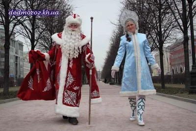 Костромичей приглашают на онлайн-встречу с Российским Дедом Морозом и  Снегурочкой