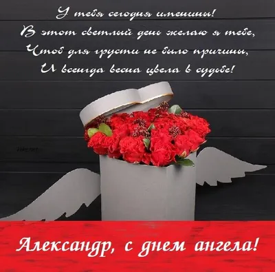 День ангела Александра 6 декабря - поздравления, картинки, открытки -  Телеграф