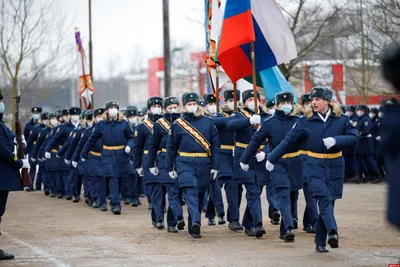 С Днем Красной/Советской Армии и Военно-морского флота!